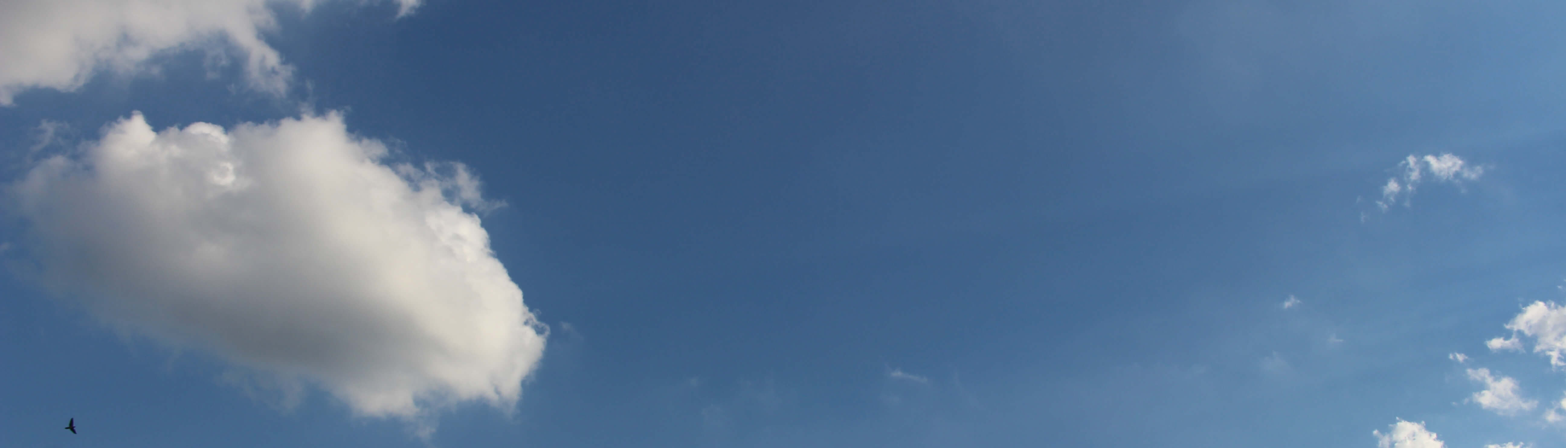 株式会社そよかぜ　投資家に最良の情報を提供することを目指しています。